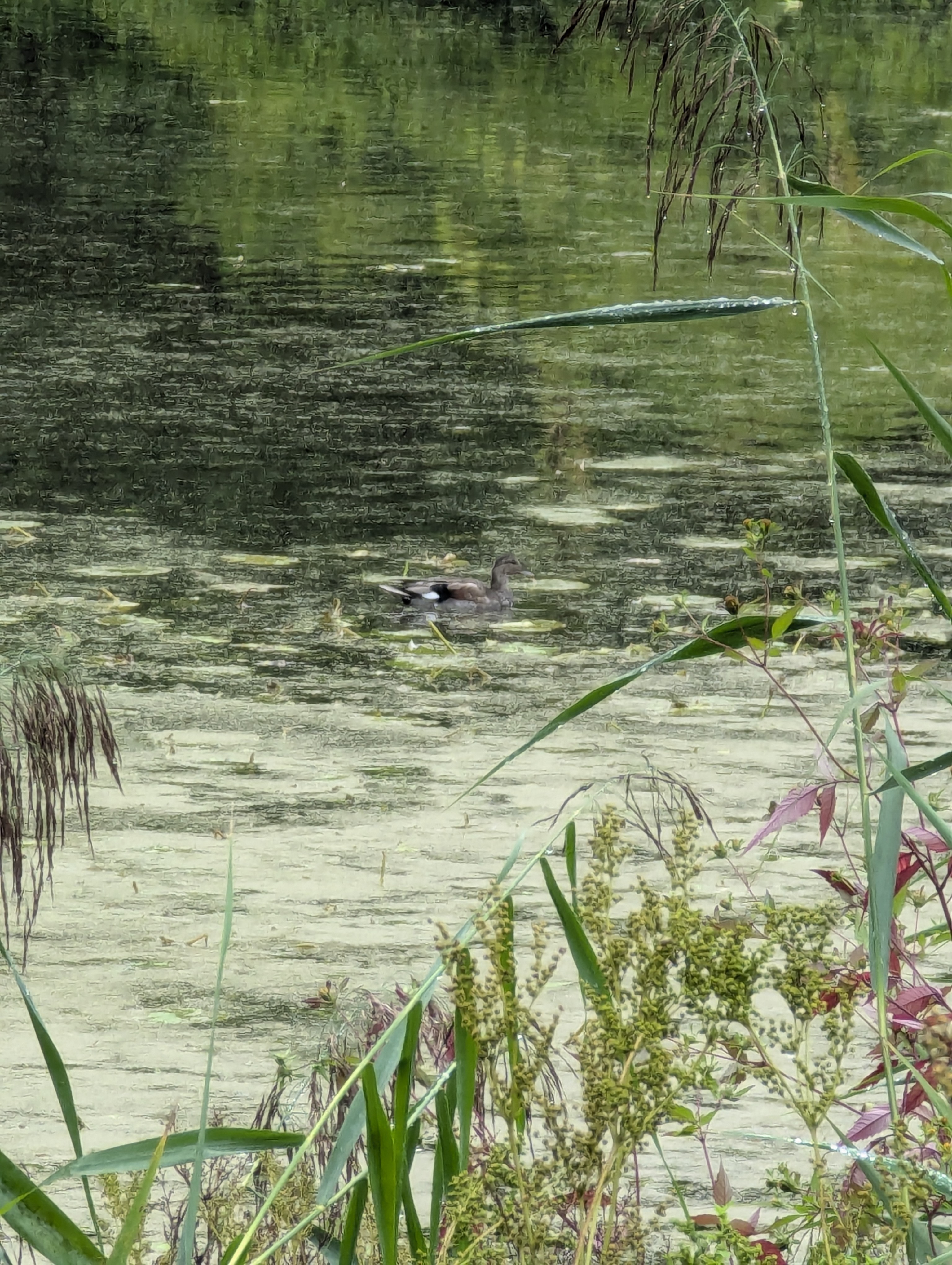 Botonic Gardens, Muenster, Germany